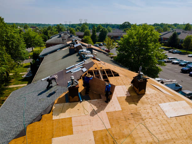 Best Commercial Roofing Services  in Maysville, GA