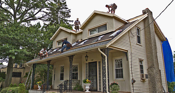 Best Gutter Installation and Roofing  in Maysville, GA