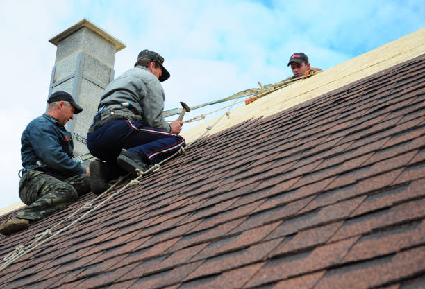 Best Roofing Contractor Near Me  in Maysville, GA
