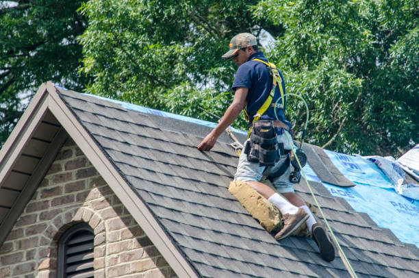 Best Storm Damage Roof Repair  in Maysville, GA