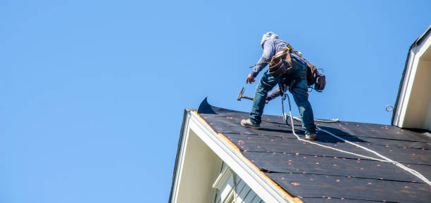 Best Roof Leak Repair  in Maysville, GA